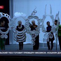 В Севастопольском ТЮЗе готовят премьеру спектакля «Кошкин дом»
